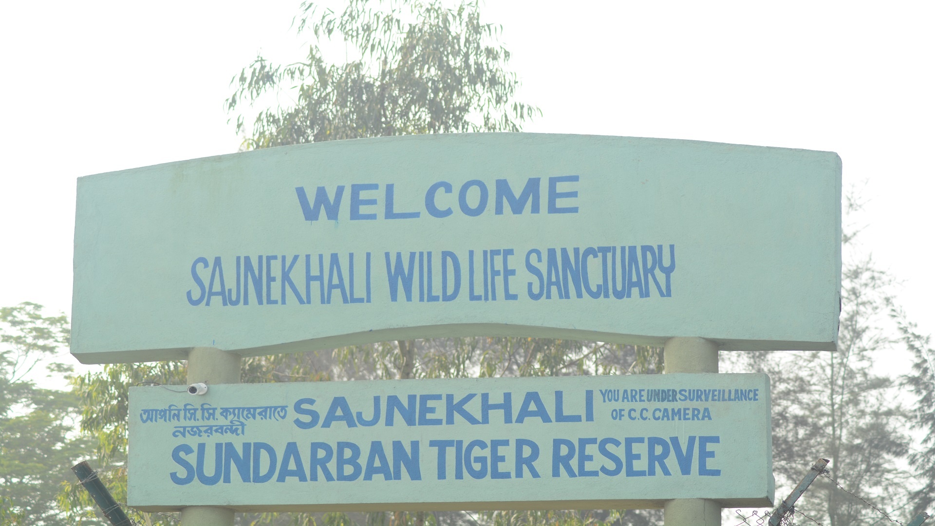 Sunderbans