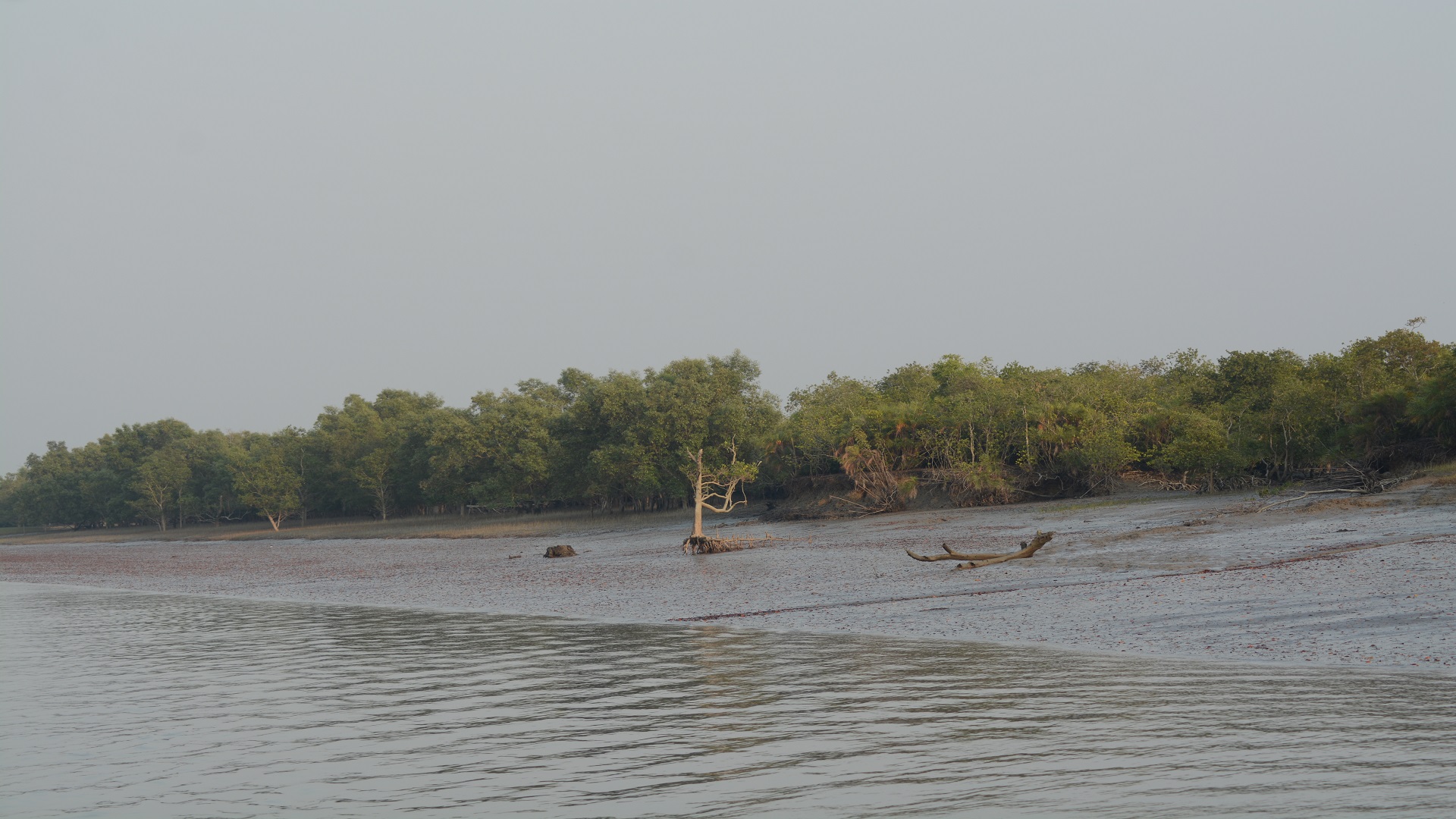 Sunderbans