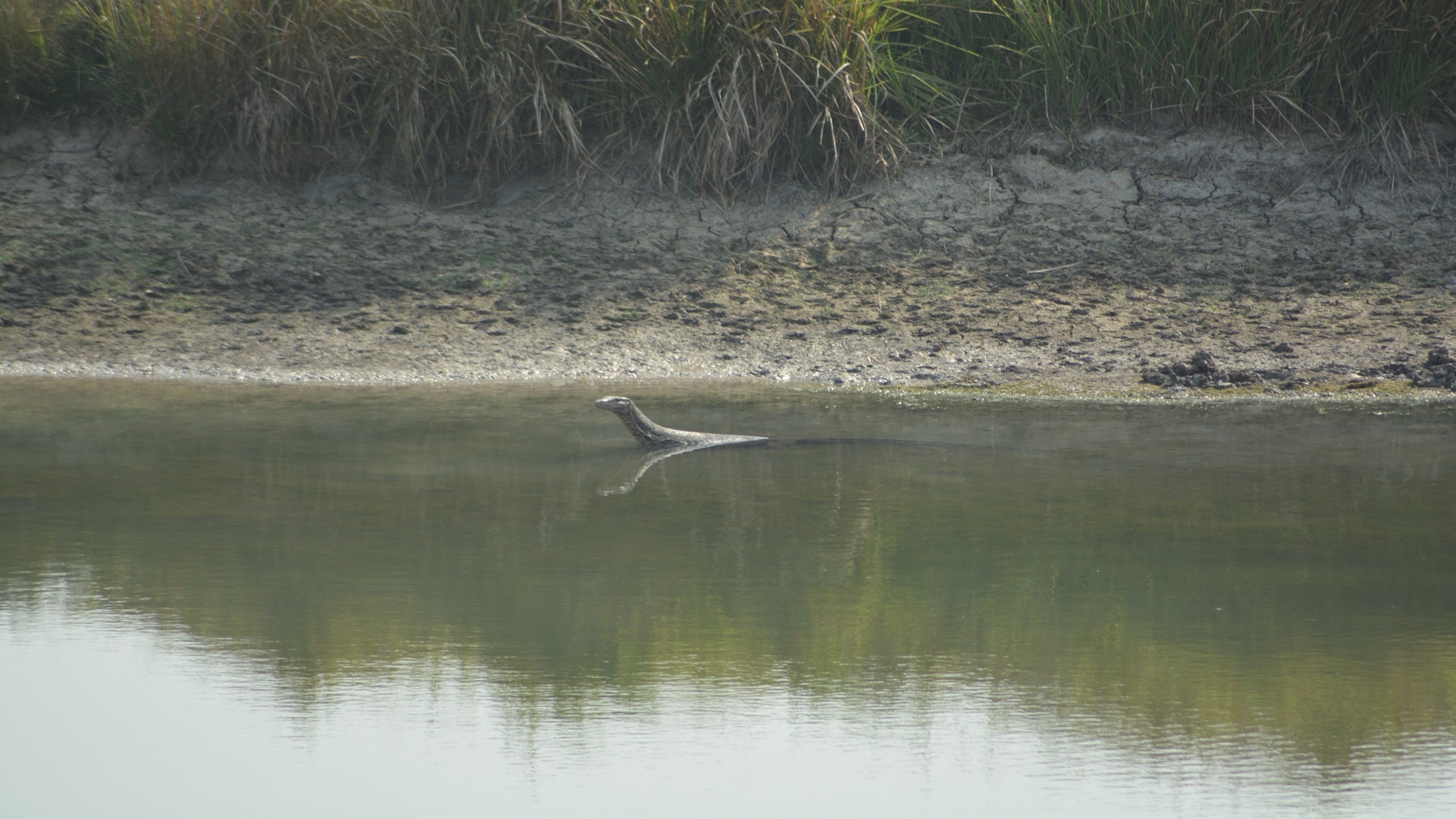 Sunderbans